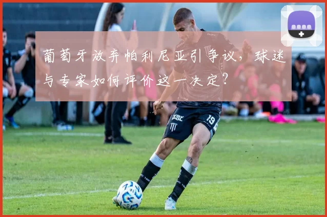 葡萄牙放弃帕利尼亚引争议,球迷与专家如何评价这一决定?