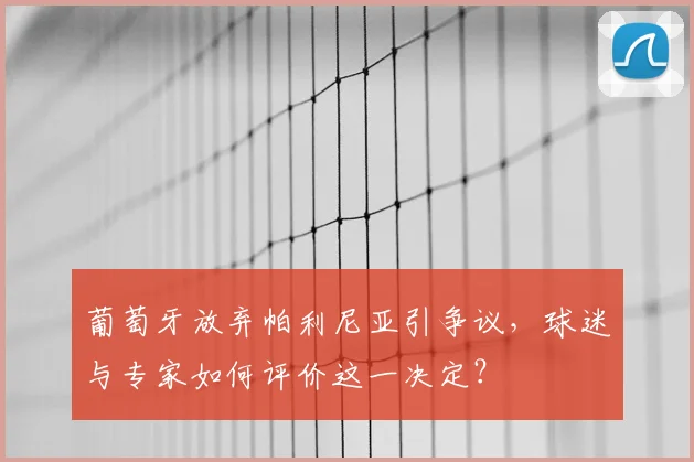 葡萄牙放弃帕利尼亚引争议，球迷与专家如何评价这一决定？